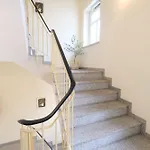 Berggasse Im Zentrum Von Guest house 3*